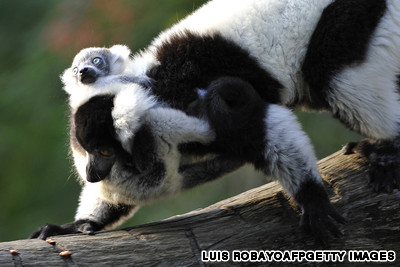 10 khu bảo tồn hoang d&atilde; đẹp nhất ch&acirc;u Phi